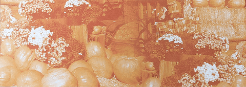 Custom Printed Autumn Tickets