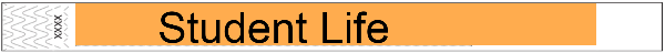 Event Wristbands PPLR_HIDDEN_PRODUCT 1,000 ($0.07 each) 3/4