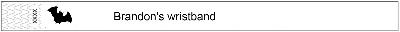 Event Wristbands PPLR_HIDDEN_PRODUCT 100 ($0.25 each) 3/4