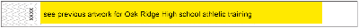 Event Wristbands PPLR_HIDDEN_PRODUCT 3/4