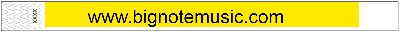 Event Wristbands PPLR_HIDDEN_PRODUCT 3/4