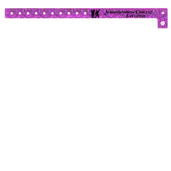 Event Wristbands PPLR_HIDDEN_PRODUCT Bulk Custom Holographic Wristbands