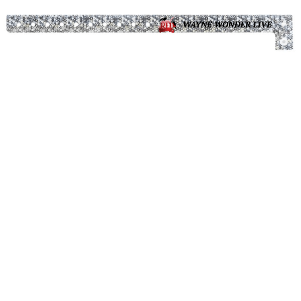 Event Wristbands PPLR_HIDDEN_PRODUCT Bulk Custom Holographic Wristbands